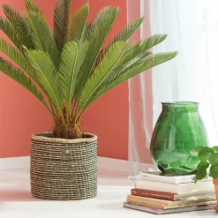 Plantes Artificielles^CASA CYCAS Palmier Vert
