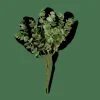 Fleurs Artificielles^CASA EUCALYPTUS Branche D'eucalyptus Vert
