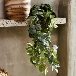 Plantes Artificielles|Branches Artificielles^CASA FITTONIA Guirlande Feuilles Vert