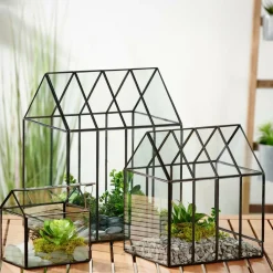 Supports Pour Plantes^CASA GREENHOUSE Terrarium Transparent