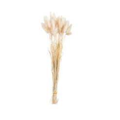 Fleurs Artificielles^CASA LAGURUS Lagure Ovale Beige
