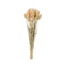 Fleurs Artificielles^CASA LAGURUS Lagure Ovale Brun