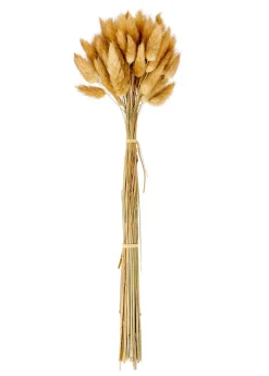 Fleurs Artificielles^CASA LAGURUS Lagure Ovale Naturel
