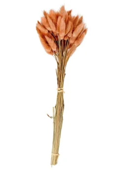 Fleurs Artificielles^CASA LAGURUS Lagure Ovale Rose