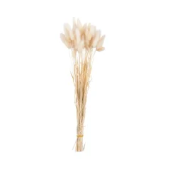 Vases^CASA LINDE Vase Beige