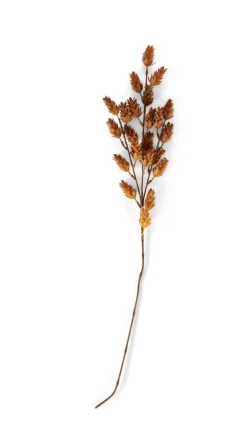 Vases|Automne^CASA ODON Vase Brun