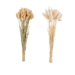 Vases^CASA PAMPLONA Vase Crème