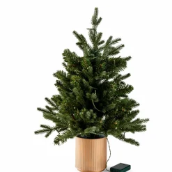 Guirlandes Lumineuses^CASA PIM Guirlande Lumineuse 25 LEDs Vert