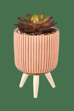 Plantes Artificielles^CASA STRIPE Plante Grasse Artificielle Multicolore