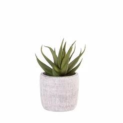 Supports Pour Plantes^CASA TEAK Support Naturel