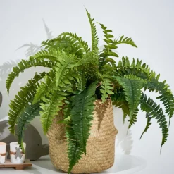 Supports Pour Plantes^CASA TEAK Support Naturel