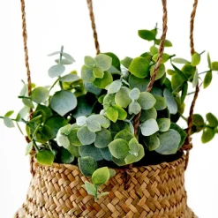 Plantes Artificielles^CASA TERRA Pot Avec Plante Blanc, Vert