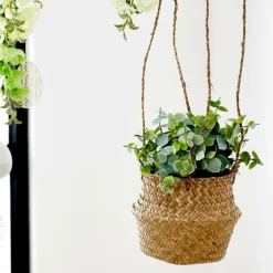 Plantes Artificielles^CASA TERRA Pot Avec Plante Blanc, Vert